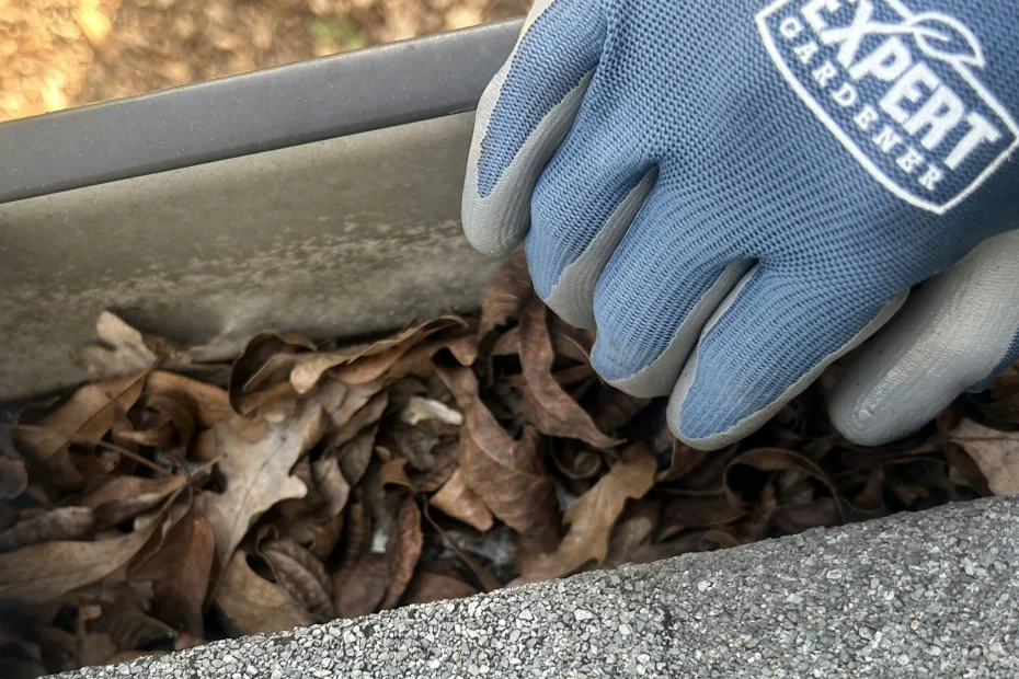 Elmhurst Gutter Cleaning
