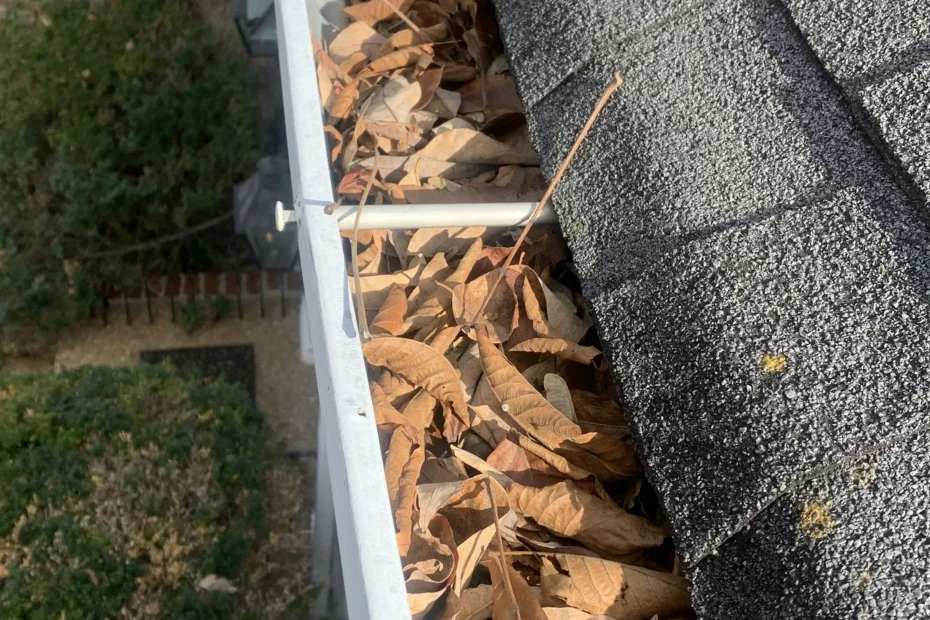 Elmhurst Gutter Cleaning