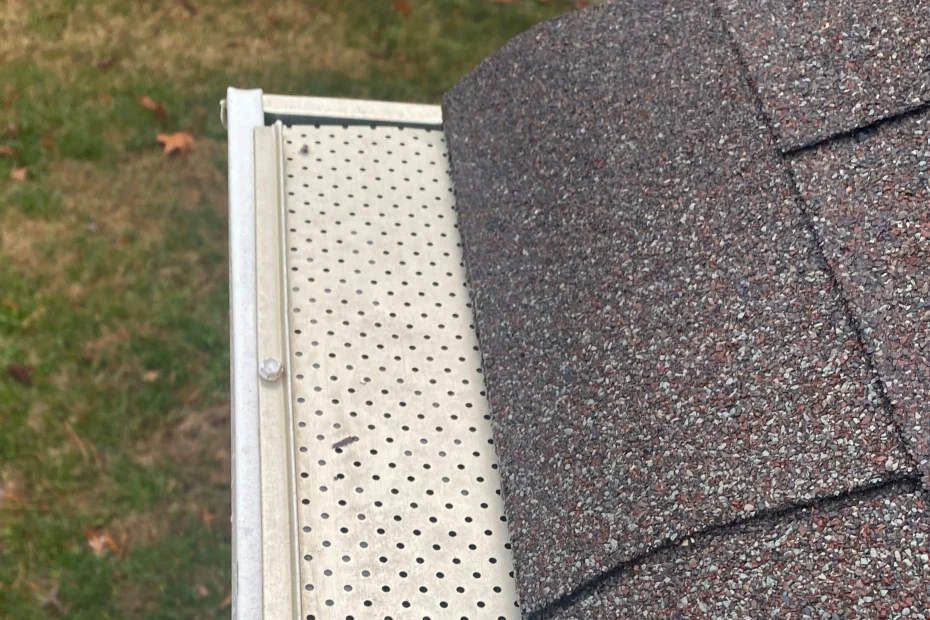 Elmhurst Gutter Cleaning