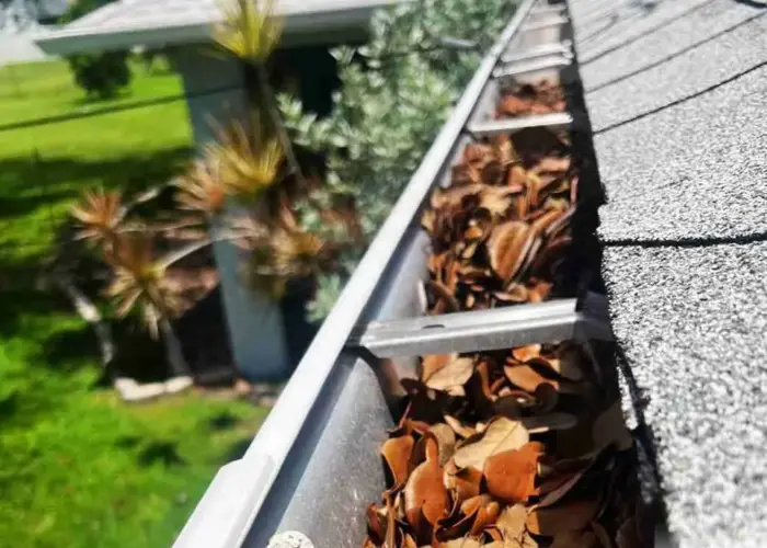 Elmhurst gutter cleaning home page